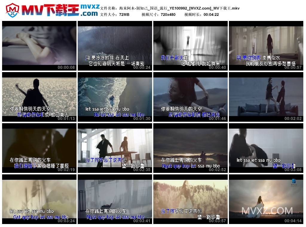 海来阿木-别知己_国语_流行_YE100992